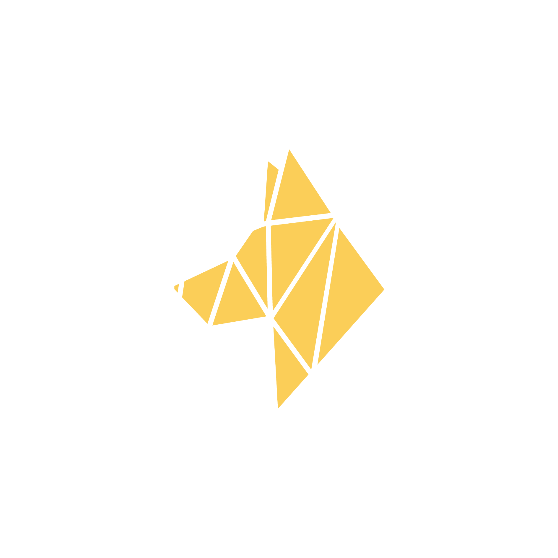 Yorkshire Canine Academy